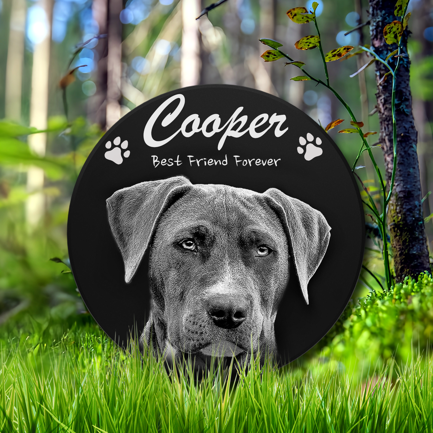 EVRPIC Pet Grave Marker & Memorial Plaque Personalized | Theme: Laser-Etched (Pet) | Ratio: 1v1 Round